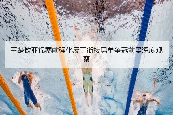 王楚钦亚锦赛前强化反手衔接男单争冠前景深度观察